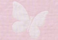 Blush Butterfly